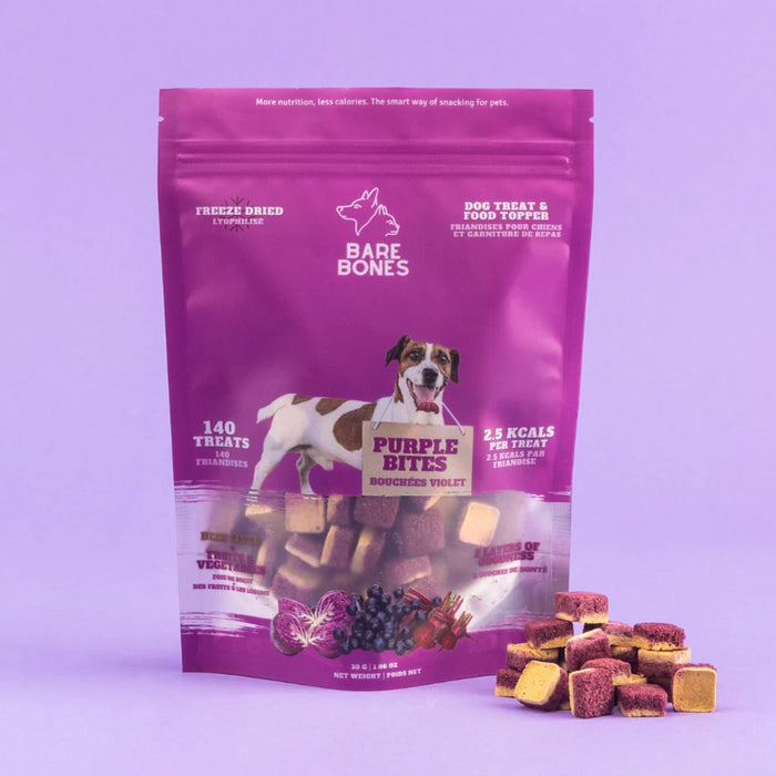 Smoothie Bites