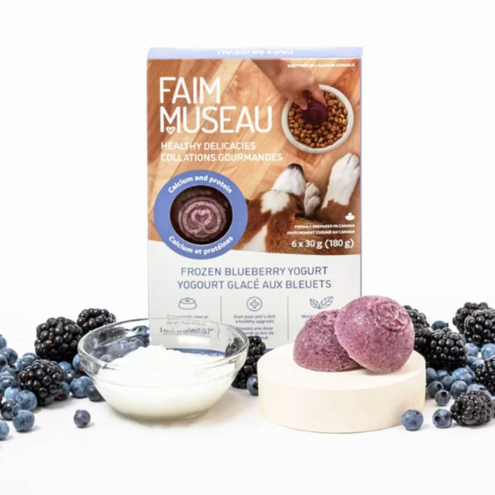 Frozen Blueberry Yogurt