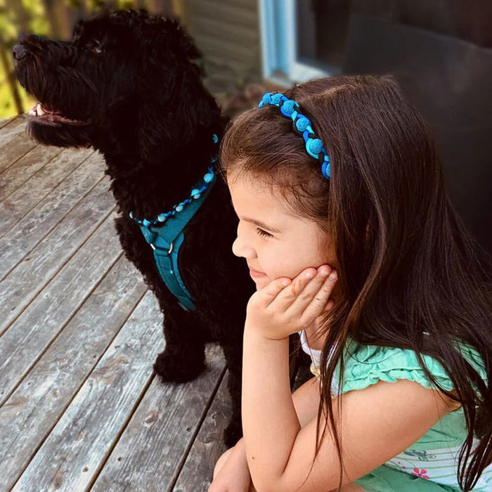 Tick Lava Bead Dog Collar & Hair Band