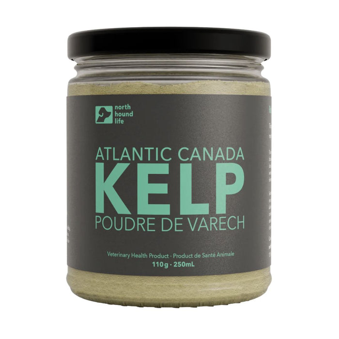 Canadian Atlantic Kelp (110g)