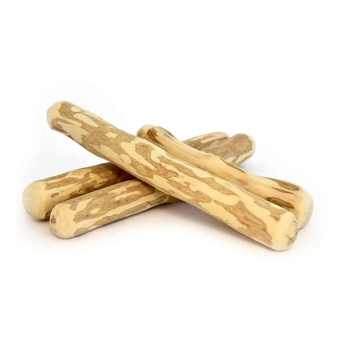 Olive Tree Chew (Medium)
