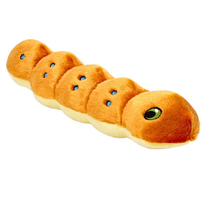 Spicy Caterpillar