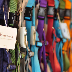 The Best Harness