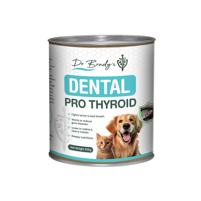 Dr. Brady's Dental Pro Thyroid