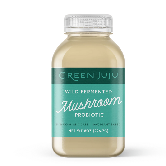 Fermented Mushroom Probiotic Broth