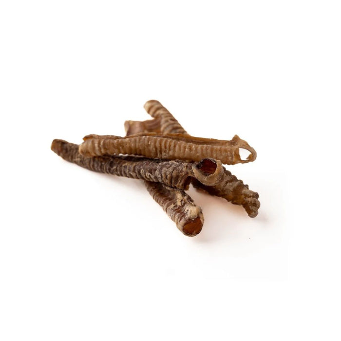 Lamb Trachea 5-7"
