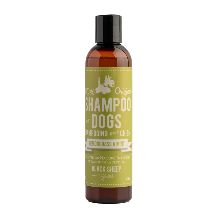 Lemongrass Shampoo