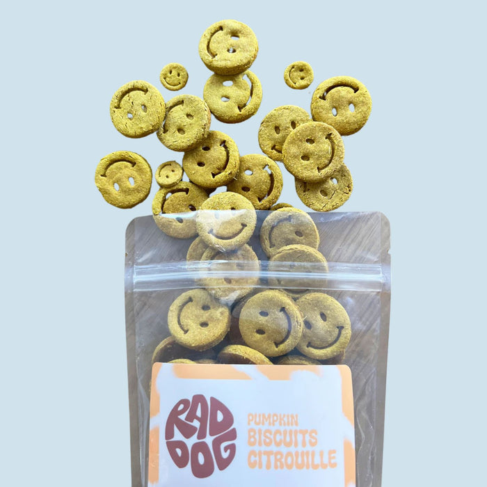 Rad Dog Pumpkin Biscuits
