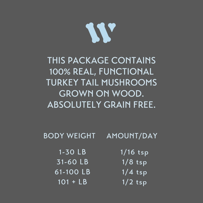 Turkey Tail Mushroom (LG BAG: 100 G)