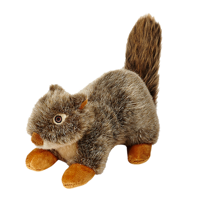 Nuts Squirrel