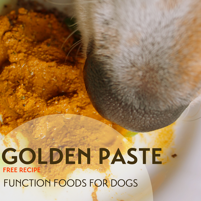 Golden Paste Recipe (Free)