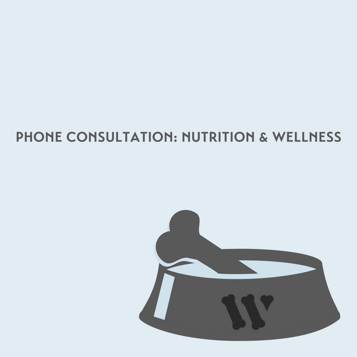 Phone Consultation