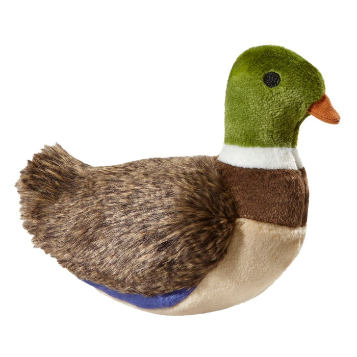 Morley Mallard