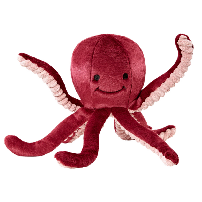 Olympia Octopus
