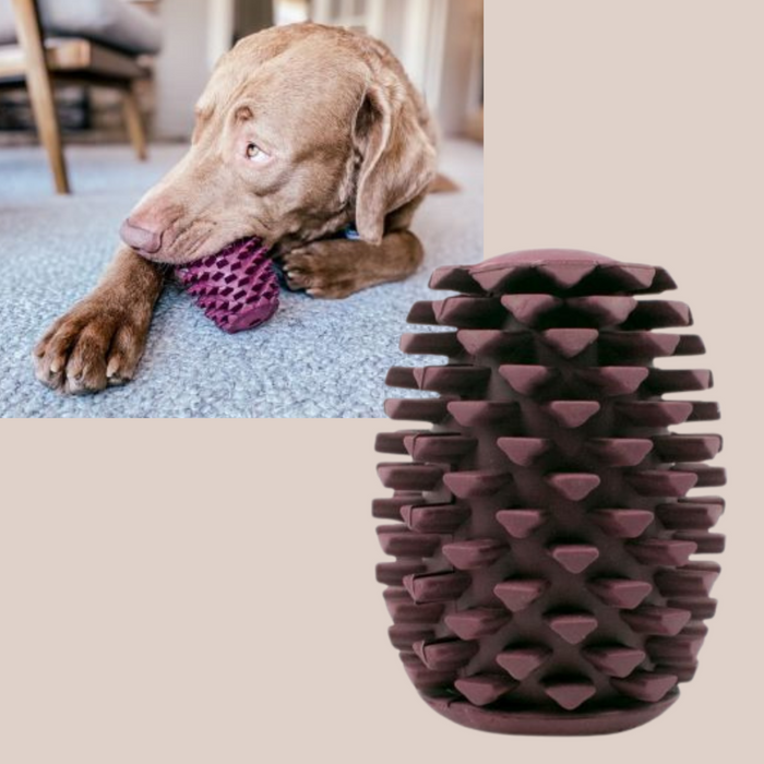 Rubber Pine Cone (clean teeth and massage gums)