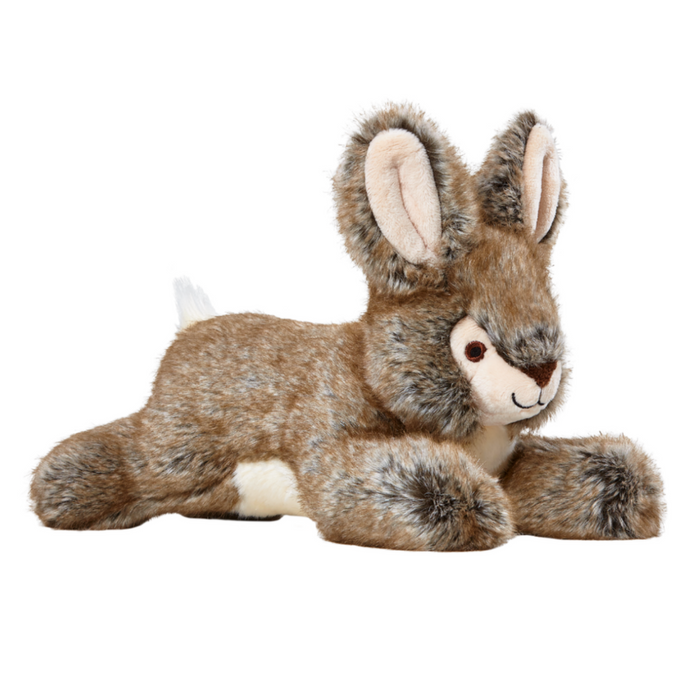 Reese Rabbit