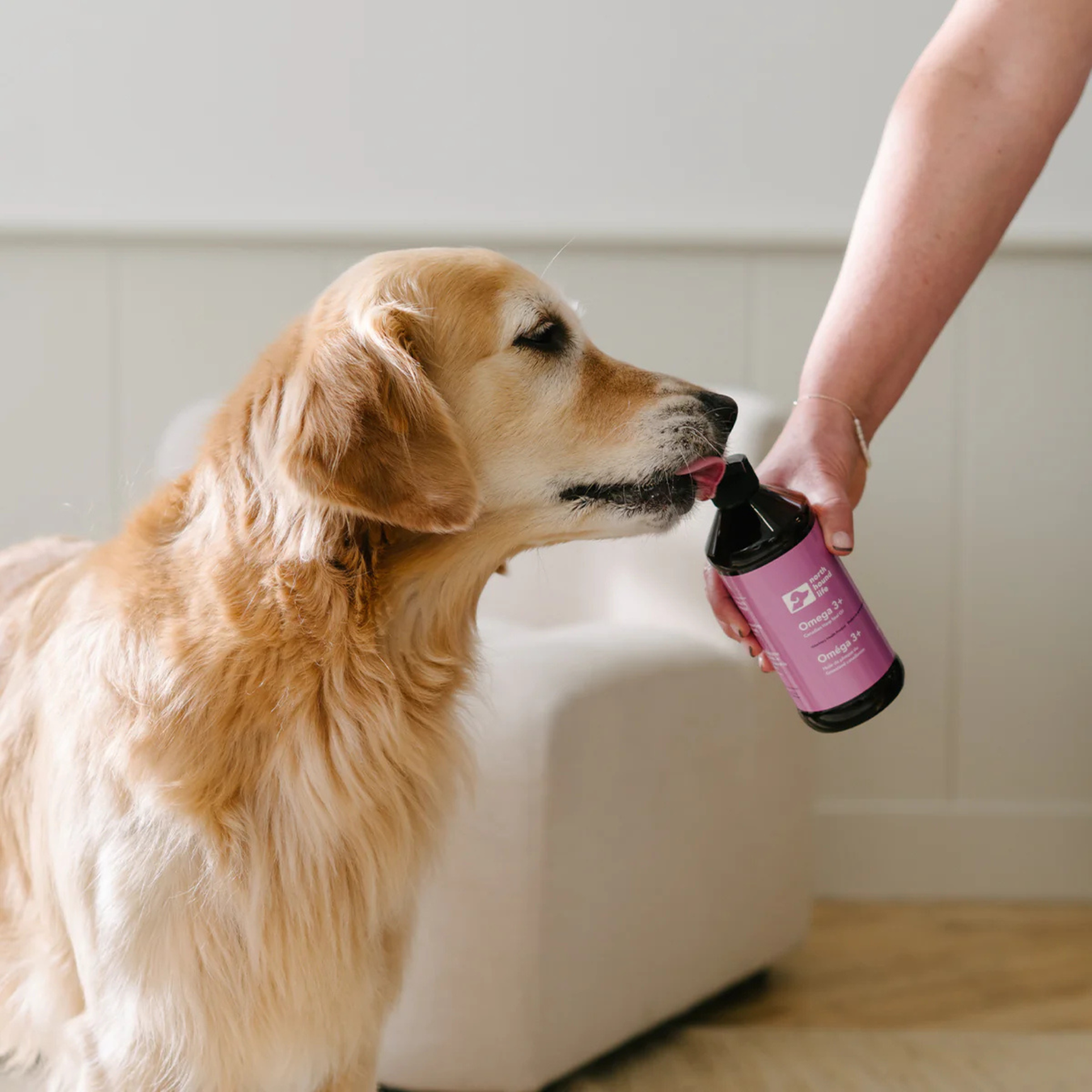 Omega 3 | Essential Fatty Acids | EPA DHA