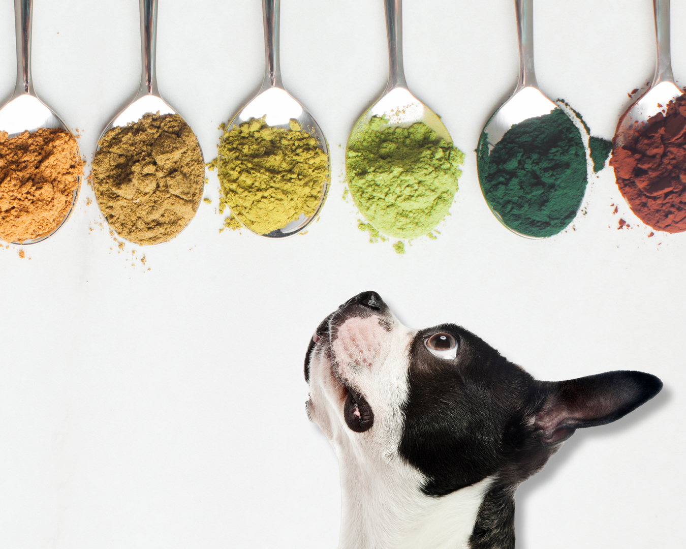 Supplements + Health Care