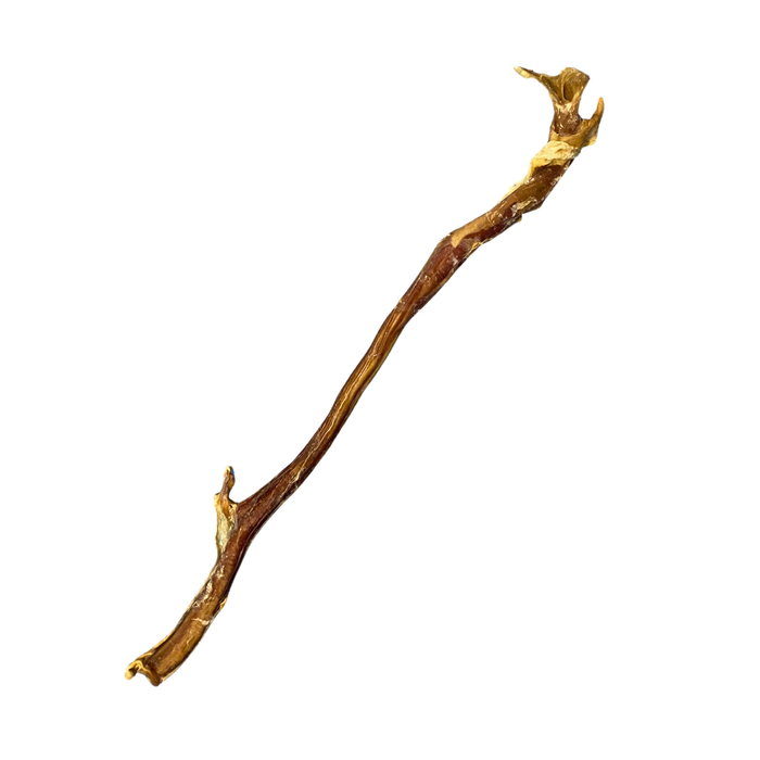 Jumbo Bully Stick (16-18")