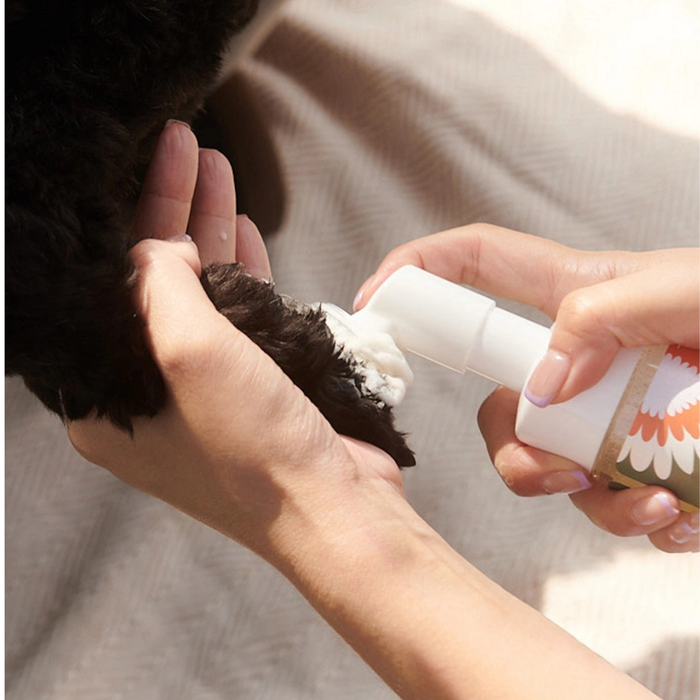 Clean Paws No-Rinse Foaming Cleanser (150 ml)