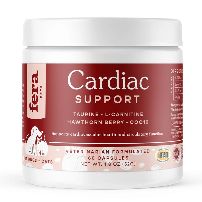 Cardiac Support