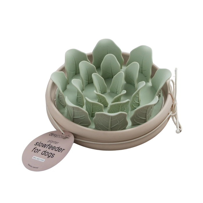 Lettuce Silicone Slow Feeder