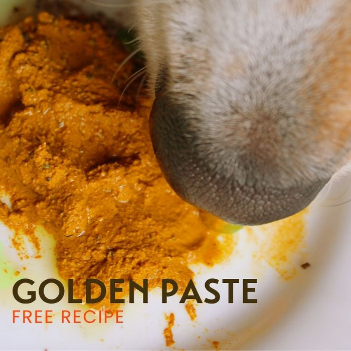 Golden Paste Recipe (Free)