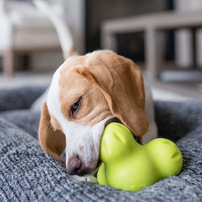 Tux Treat Toy