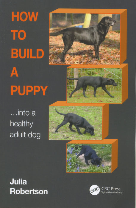 How to Build a Puppy Into a healthy adult dog