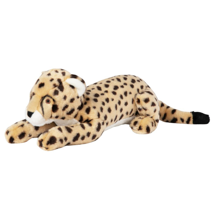 Kali Cheetah