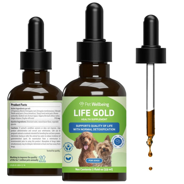Life Gold - Cancer Support for Dogs & Cats