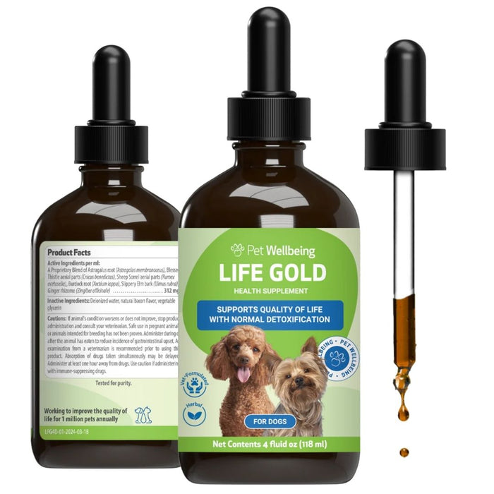 Life Gold - Cancer Support for Dogs & Cats