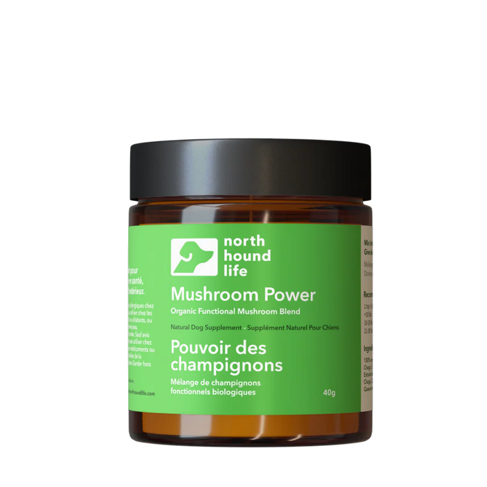 Mushroom Power | Five Mushroom Superblend Powder
