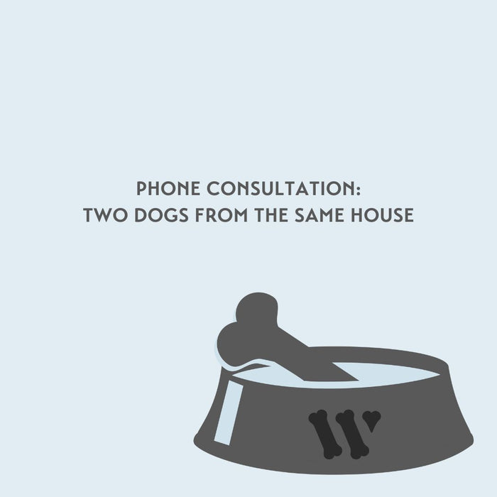 Phone Consultation: Two dogs from the same house (45 minutes)