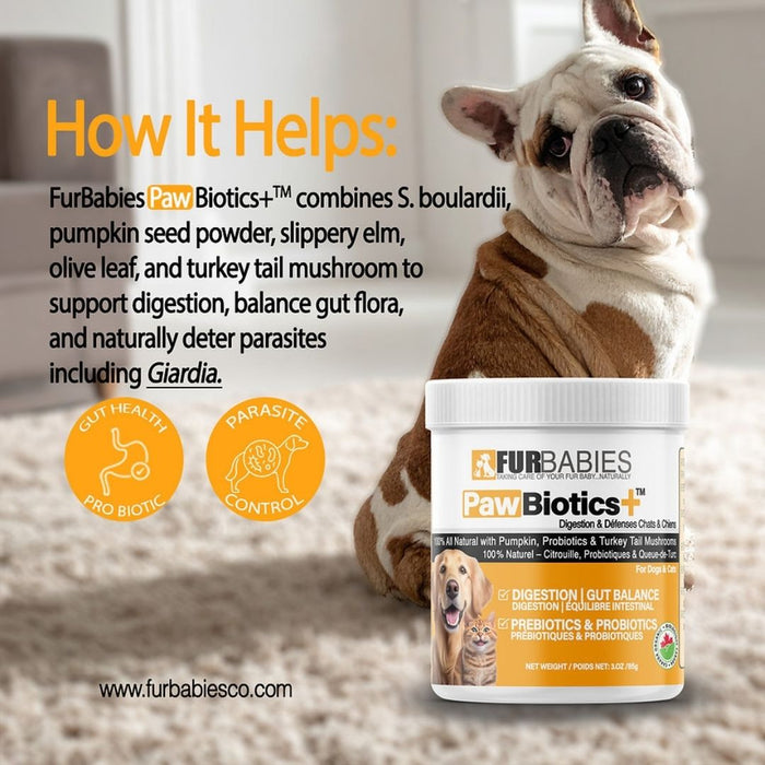 PawBiotics+