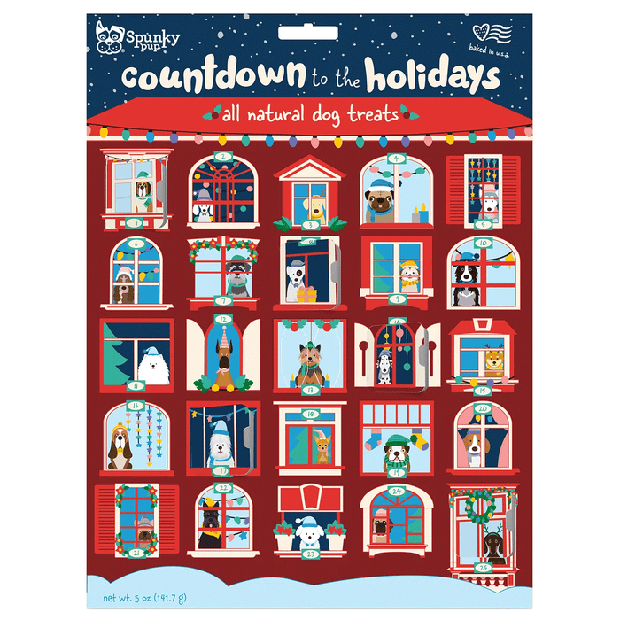 HOLIDAY Advent Calendar with Peanut Butter Dog Treats