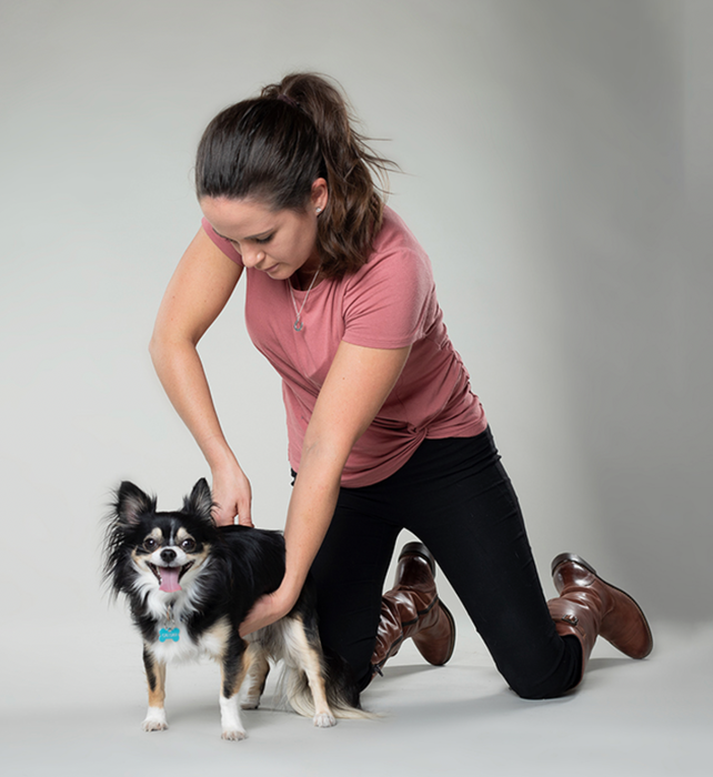 Chiro with Dr. Carruthers - POP UP CLINIC July 11th
