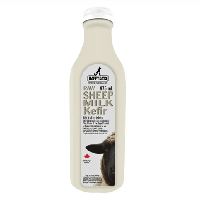 Raw Fermented Sheep Milk Kefir