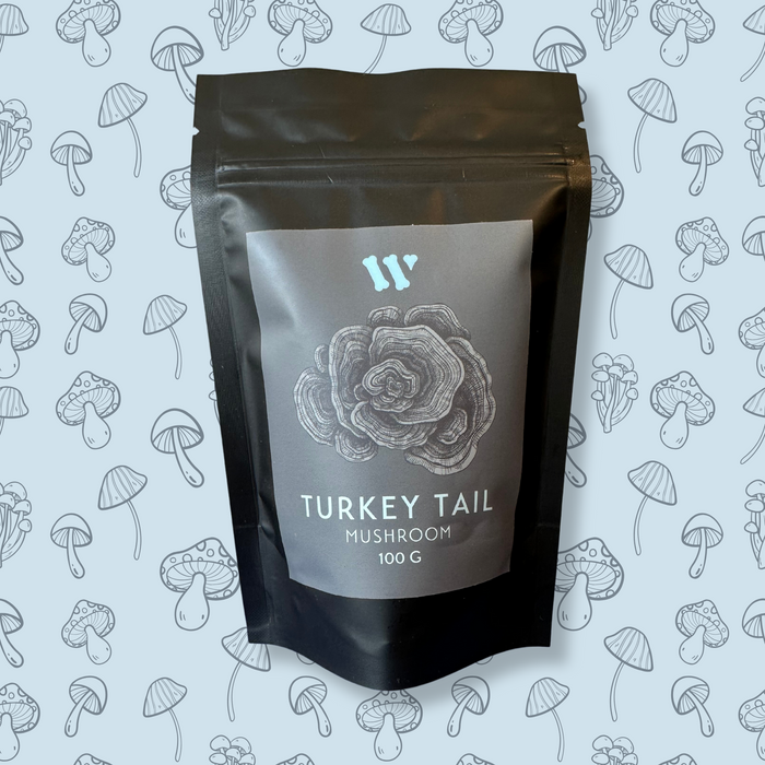 Turkey Tail Mushroom (LG BAG: 100 G)