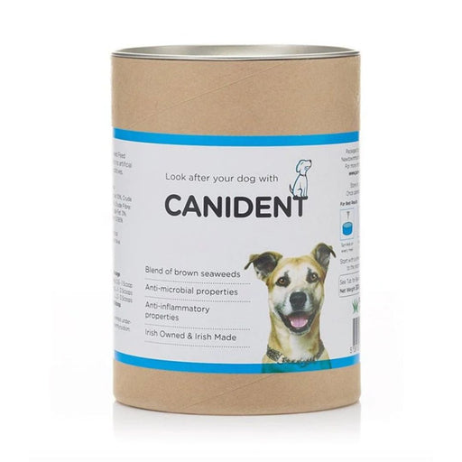 Natural Supplements & Healthcare for Dogs — Wholesome Canine