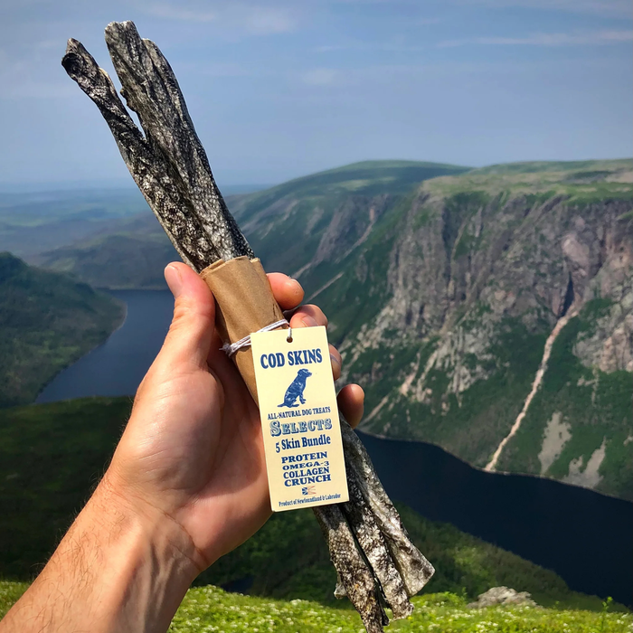 Cod Skin Bundle