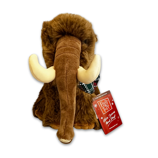 A forward facing view of a plush dog toy shaped like a mammoth. You can see its stitched black eyes.