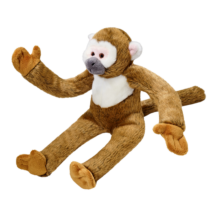 Albert Monkey