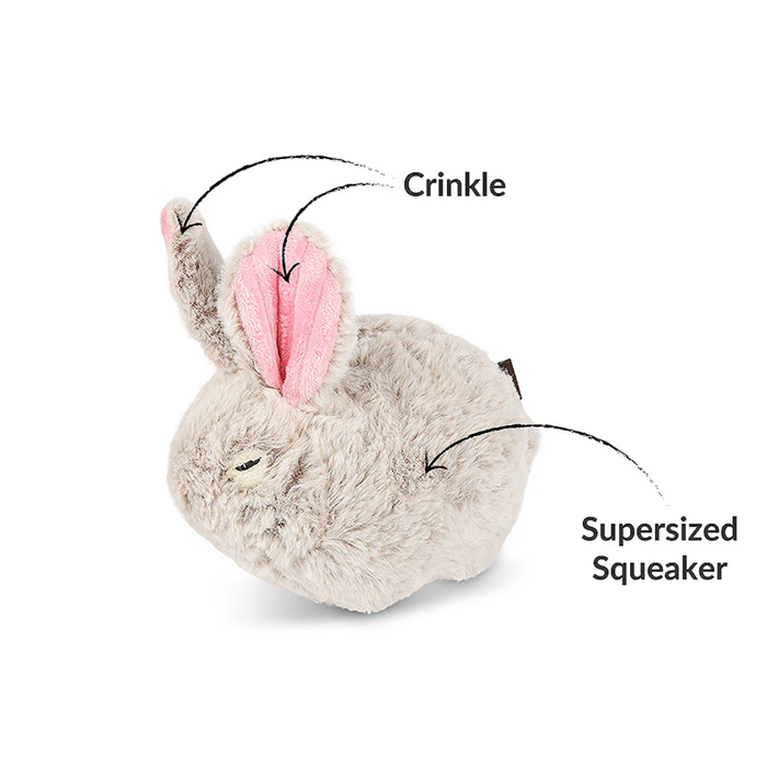 Baxter the Bunny