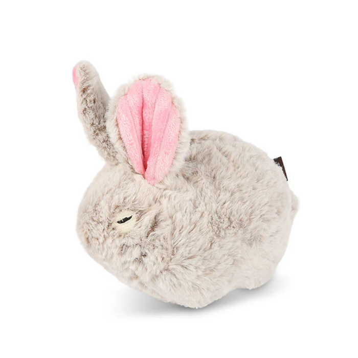Baxter the Bunny