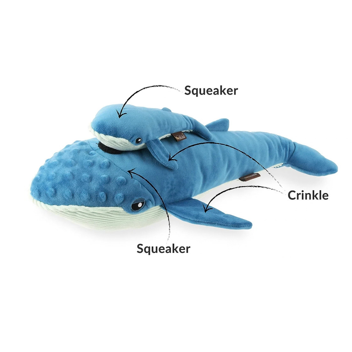 Demonstration of the various features of the two blue whales. The locations of the squeakers and crinkly bits are pointed out on both whales. Both whales have squeakers in their heads, and their pectoral fins have crinkly fabric inside.