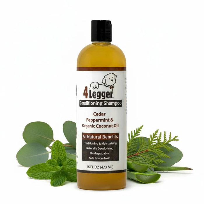 Cedar, Peppermint, and Organic Coconut Oil Shampoo