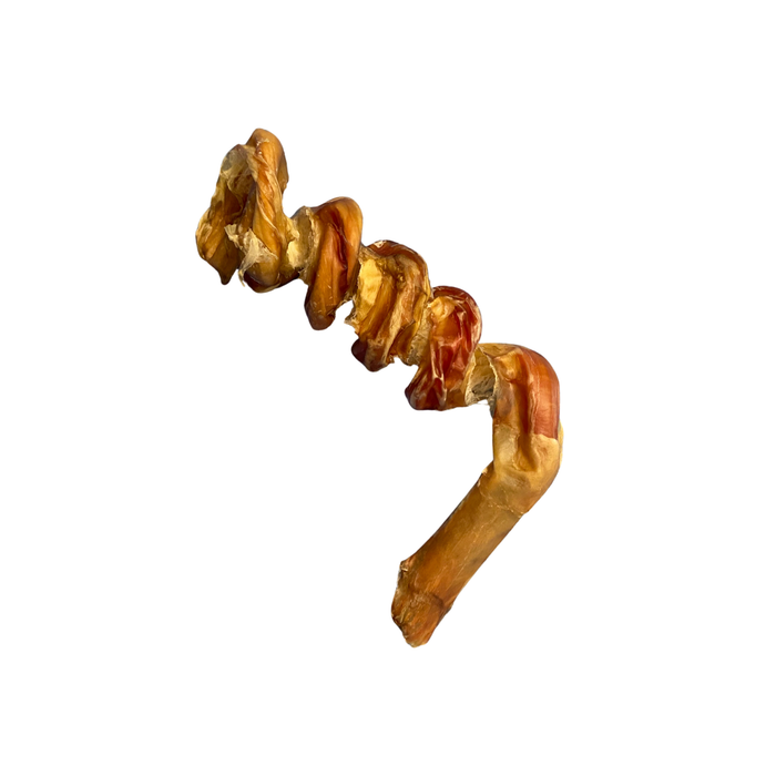 Curly Bully Flosser