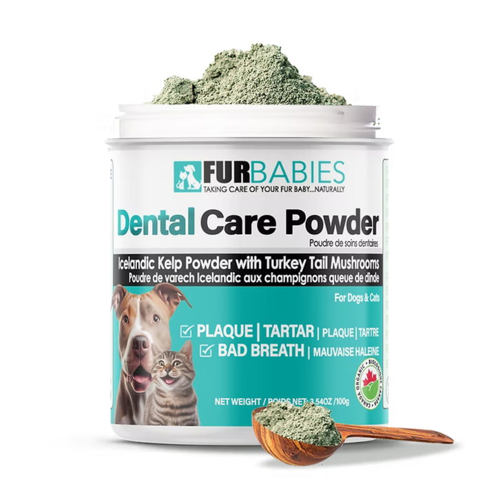 Dental Care Powder