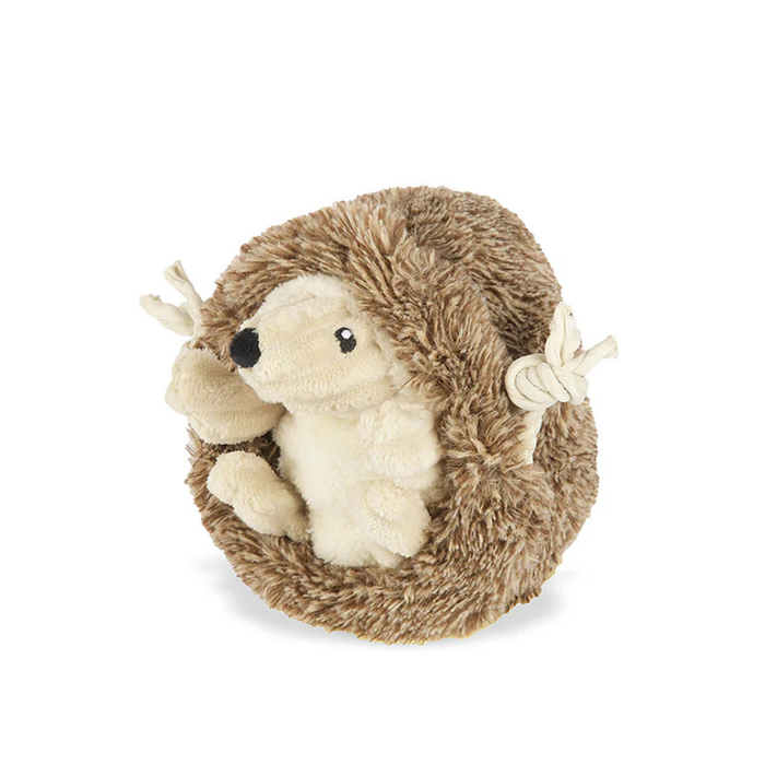 Hamilton the Hedgehog